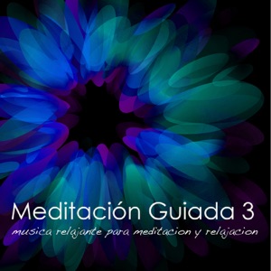Meditación Guiada vol.3