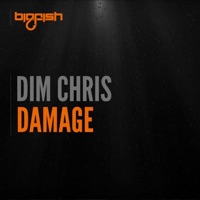Damage - Single - Dim Chris