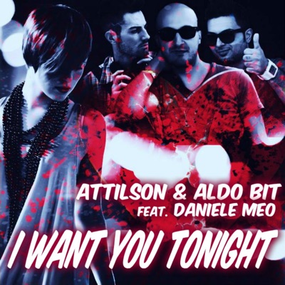 I Want You Tonight (feat. Daniele Meo) - Single