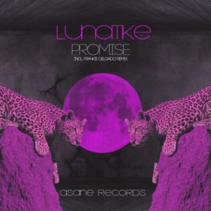 Lunatike Promise - Single