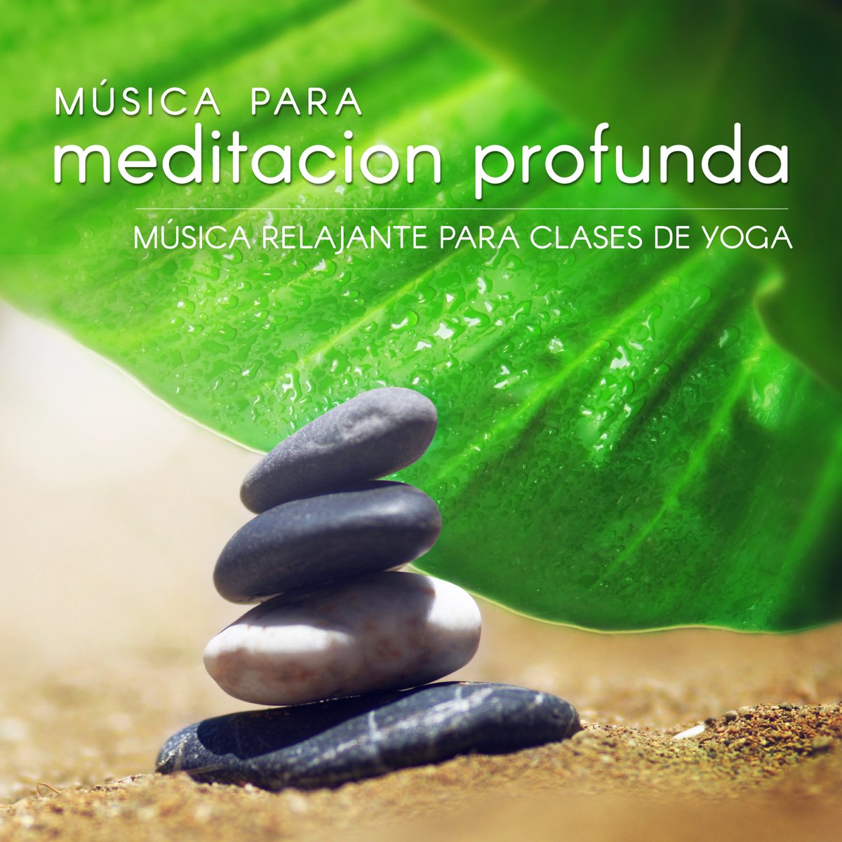 50 Música Relajante Zen: Música de Ambiente para Yoga y