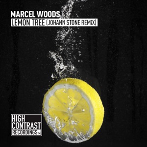 Lemon Tree (Johann Stone Remix) - Single