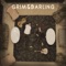 Linger (Remix) [feat. Michal Menert] - Grim & Darling lyrics