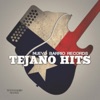 Nuevo Barrio Records Tejano Hits