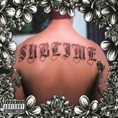 Sublime cover