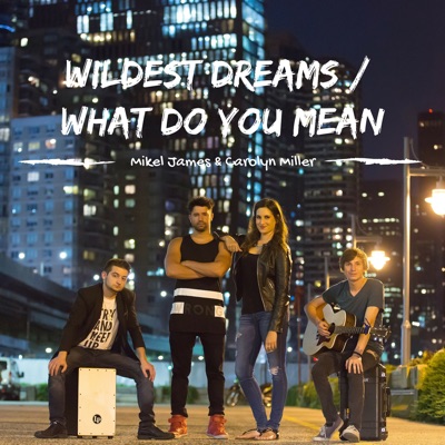 Wildest Dreams / What Do You Mean - Single
