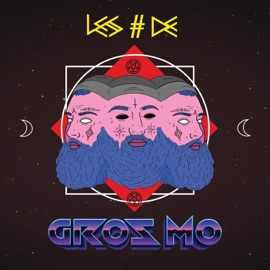 #Malsain (feat. Nemir) Gros Mo