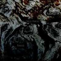 Circus Marcus - Phoenix