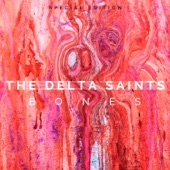 The Delta Saints - Sometimes I Worry