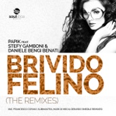 Brivido Felino (Mark Di Meo & Gerardo Smedile Remix) [feat. Stefy Gamboni & Daniele 'Bengi' Benati] artwork