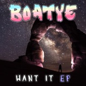 Want It (Melbourne Bounce Edit) artwork