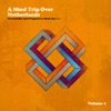 A Mind Trip over Netherlands (Dutch Psychedelia and Progressive Rock 60s/70s), Vol. 2, 2016