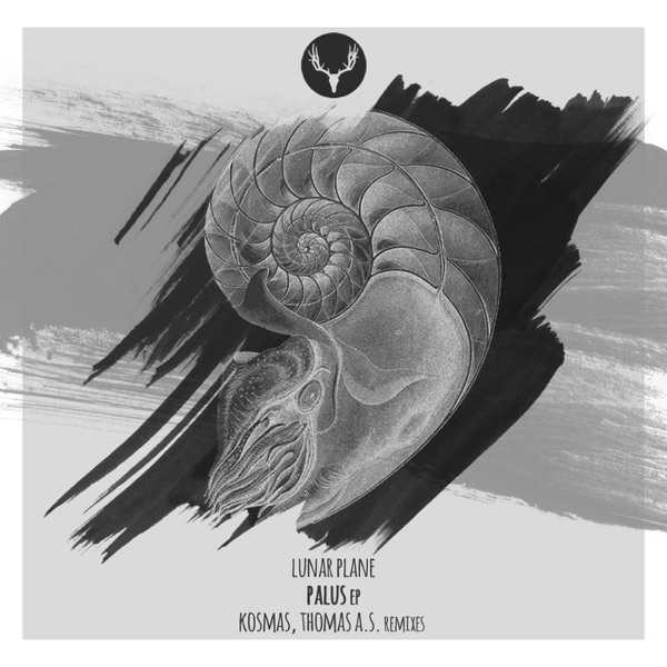 Palus - Single