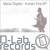 Indian Fire - Single