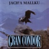 Gran Condor, 1993