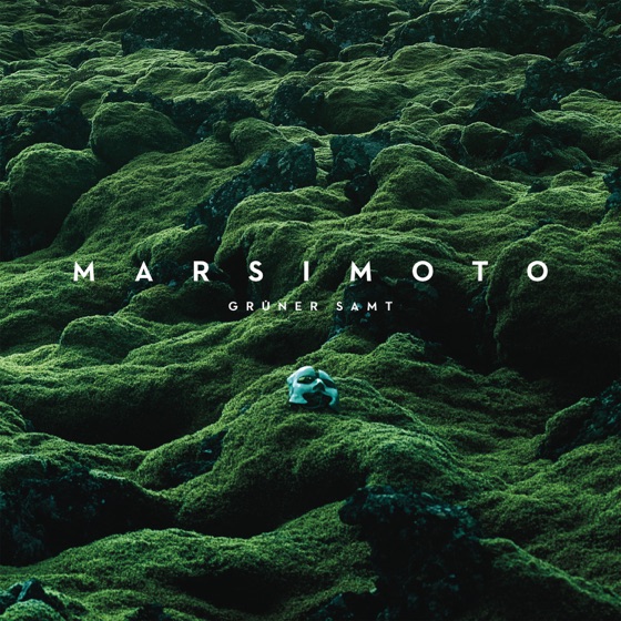 Cover artwork for Der springende Punkt