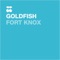 Fort Knox - GoldFish lyrics