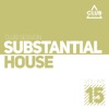 Substantial House, Vol. 15, 2016