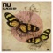 Amor - Ñu lyrics