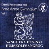 Sange Fra Den Danske Højskolesangbog 1 artwork