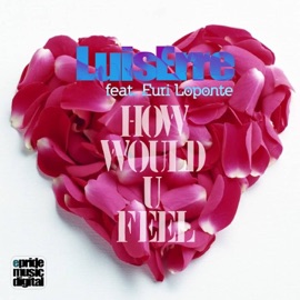 How Would U Feel (feat. Euri Loponte) [Luis Erre & Isak Salazar Reconstruction Mix] Luis Erre