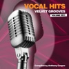 Vocal Hits Velvet Grooves Volume Sex!