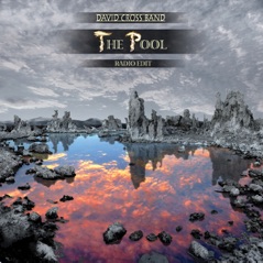 The Pool (Radio Edit) - Single