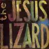 The Jesus Lizard - Killer McHann (Live)