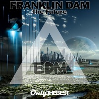 The Future - Single - Franklin Dam