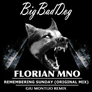 Remembering Sunday - Single