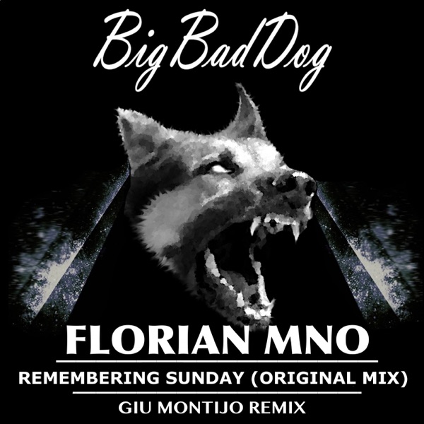 Remembering Sunday - Single