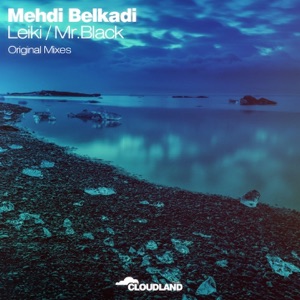 Leiki / Mr. Black - Single