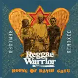 House Of David Gang - Rain (TV Mix) [Snappy Homefry Remix]
