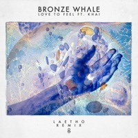 Love To Feel - Single - Bronze Whale