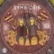 Symbiosis (Sasha Carassi Remix) - The YellowHeads lyrics