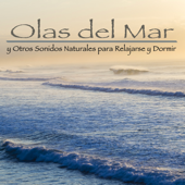 Olas del Mar y otros Sonidos Naturales para Relajarse y Dormir - Naturaleza & Relajación Natural Maestro