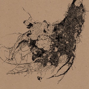 The Root