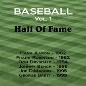 Hank Aaron - Hall of Fame Induction Speech