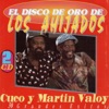 El Disco de Oro de los Ahijados, 1996