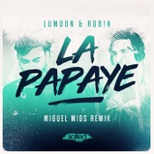 La Papaye (Miguel Migs Salted Dub) artwork