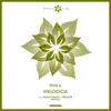 Rishi K. - Melodica (Meloder Remix)