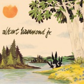 Hard to Live in the City by Albert Hammond Jr.