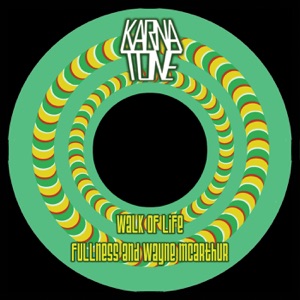 Walk of Life - Single