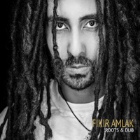 Roots & Dub - Fikir Amlak