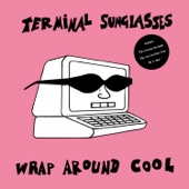 Terminal Sunglasses - The Terminal Theme