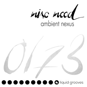 Ambient Nexus - Single