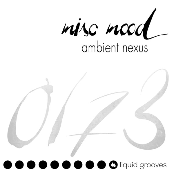 Ambient Nexus - Single