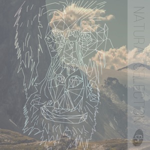 Natural Selection - EP
