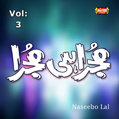 Naseebo Lal - Main Tere Ghare Di Machi