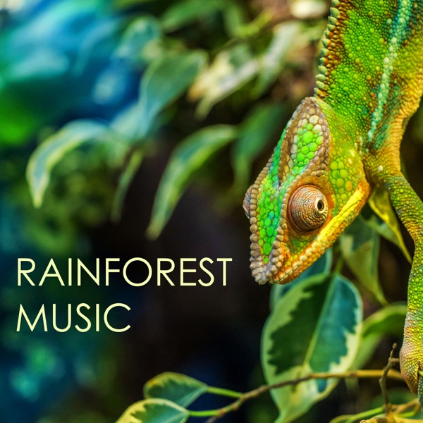 Rainforest Music